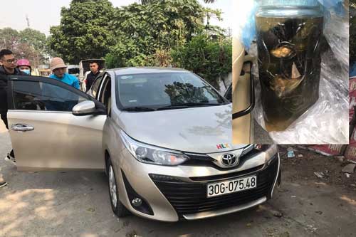 Bị bắt vì đem động vật quý hiếm đi ngâm rượu ở Hà Nội