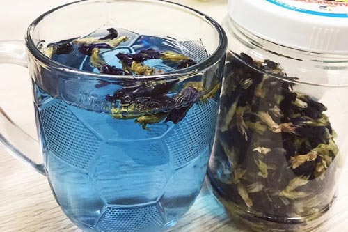 Chuyên gia Đông y chia sẻ: Một loại hoa vừa có tác dụng làm đẹp, vừa phòng ngừa bách bệnh