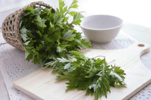 Loại lá đắng ngắt nhiều người chê hóa ra là "thảo dược quý", giúp phụ nữ trị dứt điểm 5 bệnh