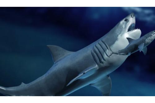 Hóa thạch thủy quái kinh khủng nhất thế giới vì... ăn thịt nhau trong bụng mẹ