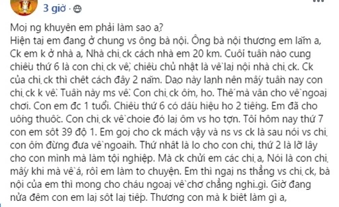 Nàng dâu lên mạng &quot;cầu cứu&quot; vì chị chồng &quot;vô ý&quot; đưa con ốm về ngoại chơi để lây sang cháu, song cô lại không biết mình mắc 1 sai lầm nghiêm trọng - Ảnh 1.