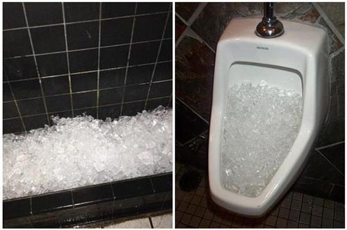 Đổ đá viên vào bồn cầu điều kỳ diệu sẽ xảy ra ngay lập tức