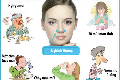 Mẹo day ấn huyệt trị nghẹt mũi nhanh chóng, hiệu quả