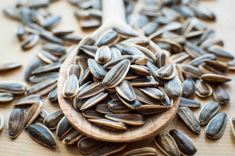 12 công dụng tuyệt vời cho sức khỏe và sắc đẹp của hạt hướng dương