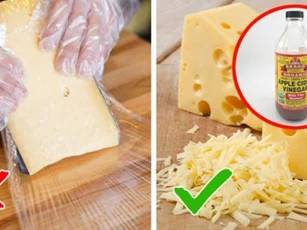 Không cần tủ lạnh, làm theo 6 cách này thực phẩm vẫn tươi ngon cả tuần
