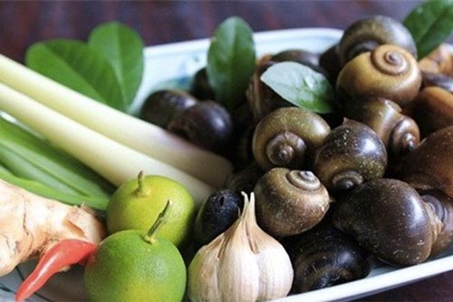 Cho thêm một thứ này vào nồi ốc luộc, đảm bảo ốc vừa giòn ngon vừa ngọt đậm không sợ đứt