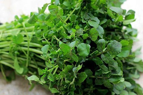 Những thực phẩm giúp phụ nữ tươi trẻ mỗi ngày
