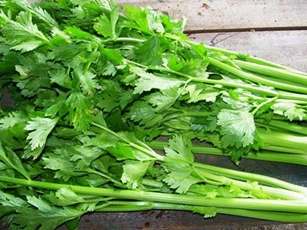 Vóc dáng hoàn hảo chỉ với 5 loại thảo mộc dễ kiếm