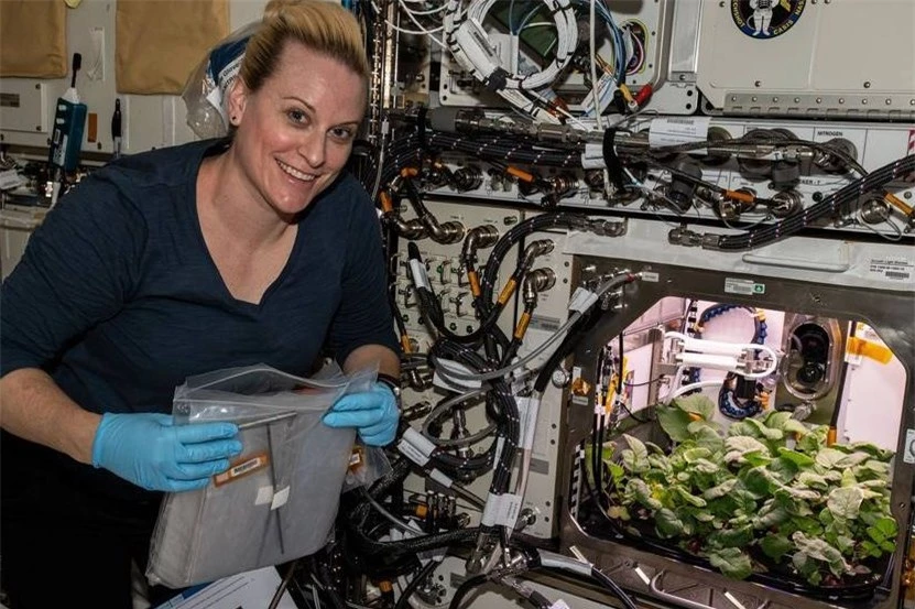Phi hành gia ISS lần đầu ăn rau củ trồng ngoài Trái Đất