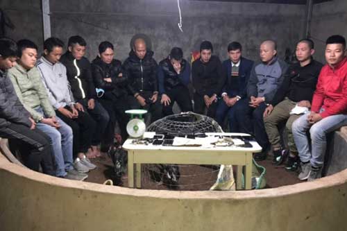 Vĩnh Phúc: Mật phục bắt quả tang 13 đối tượng đánh bạc, sát phạt nhau trên xới đá gà