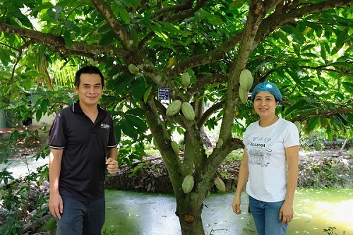 Ông chủ trang trại cacao nổi tiếng vùng Chợ Gạo: Từ khát vọng xuất khẩu "vàng nâu" made in Việt Nam, đến dịch vụ trải nghiệm làm socola hút du khách