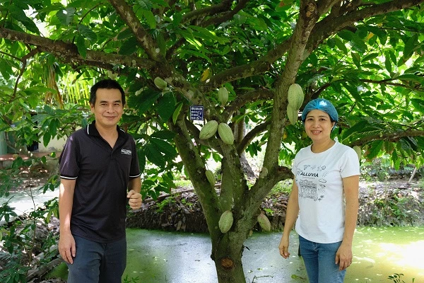 Anh Nguyễn Hải Yến (bên trái) trong trang trại cacao của mình tại Chợ Gạo, Tiến Giang.