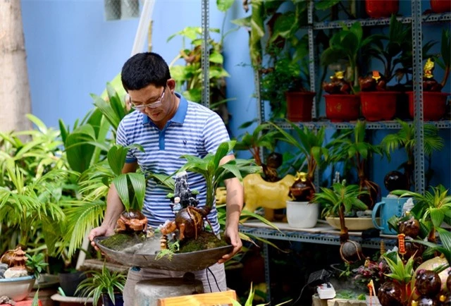 Bonsai dừa hình trâu.jpg