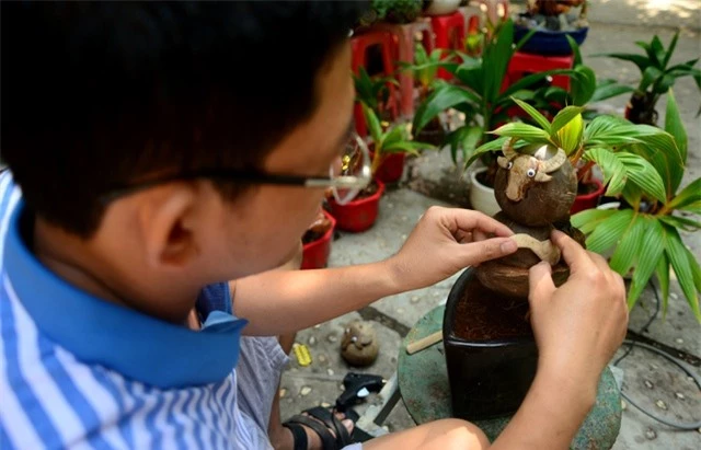 Bonsai dừa hình trâu.jpg