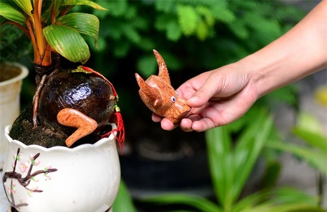 Bonsai dừa hình trâu.jpg