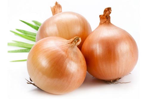 Vì sao tuyệt đối không được để hành tây trong tủ lạnh?