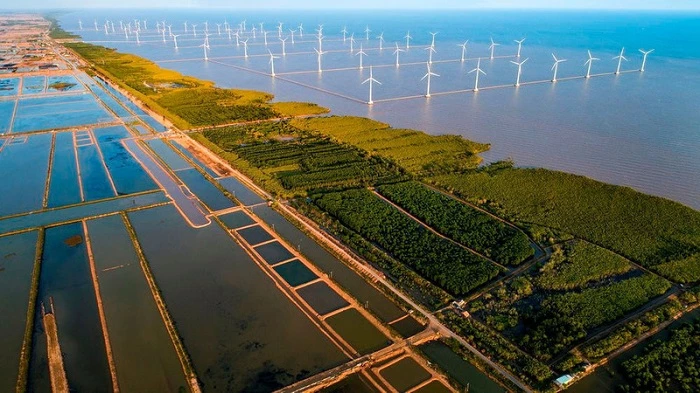 Phát triển các dự án năng lượng tái tạo ở Việt Nam.
