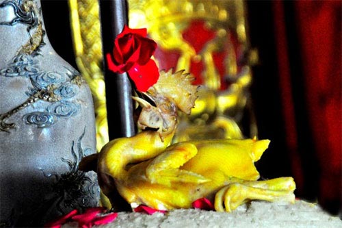 Cách luộc gà cúng vàng ươm, chín đều, thơm ngọt không bị nứt