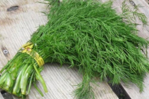 5 thực phẩm giúp sữa mẹ đặc thơm, con tăng cân nhanh chóng