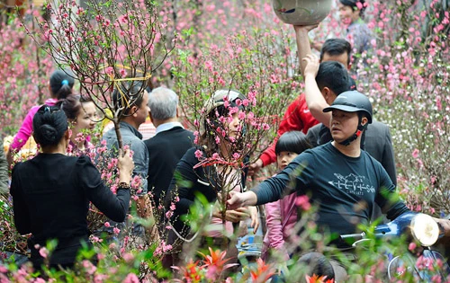 Hà Nội tổ chức 89 điểm chợ hoa Xuân phục vụ Tết Nguyên đán Tân Sửu 2021. Ảnh minh họa.