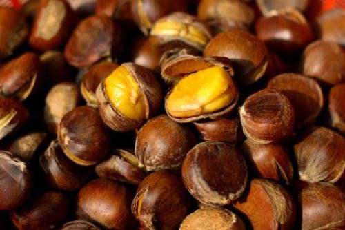 Loại hạt "thần thánh" chữa bách bệnh nhưng ít người biết