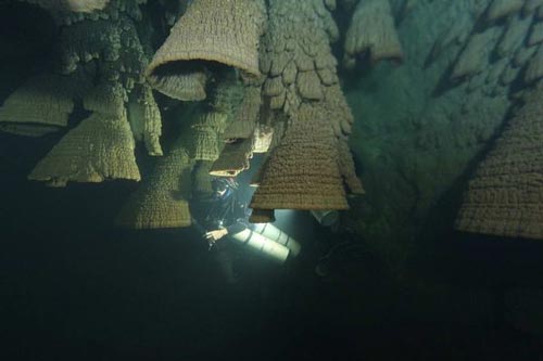 Bí ẩn hang động chứa đầy 'chuông tử thần' ở Mexico