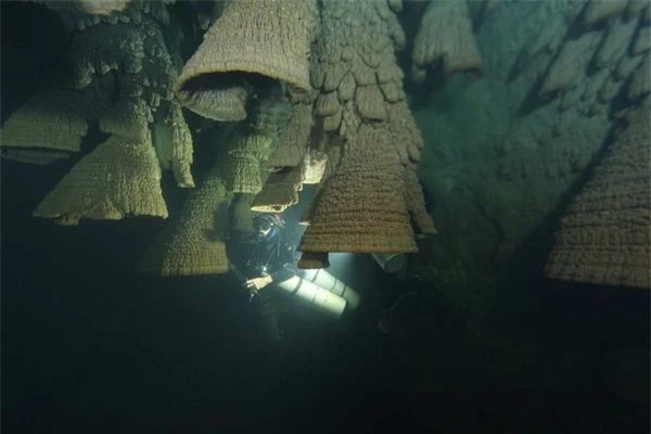 Bí ẩn hang động chứa đầy 'chuông tử thần' ở Mexico