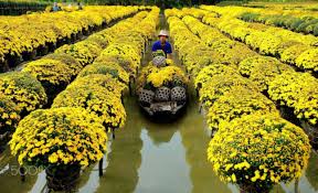 Quảng Bình: Năm 2023 sẽ tổ chức Lễ hội Hoa Quốc tế quy mô 89ha, chi phí 122 triệu Euro