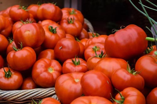 Mẹo bảo quản cà chua nhanh chóng mấy tháng trời vẫn tươi ngon như mới