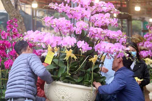 Hà Nội: Người dân nườm nượp mua sắm Tết sớm tại chợ hoa Vạn Phúc