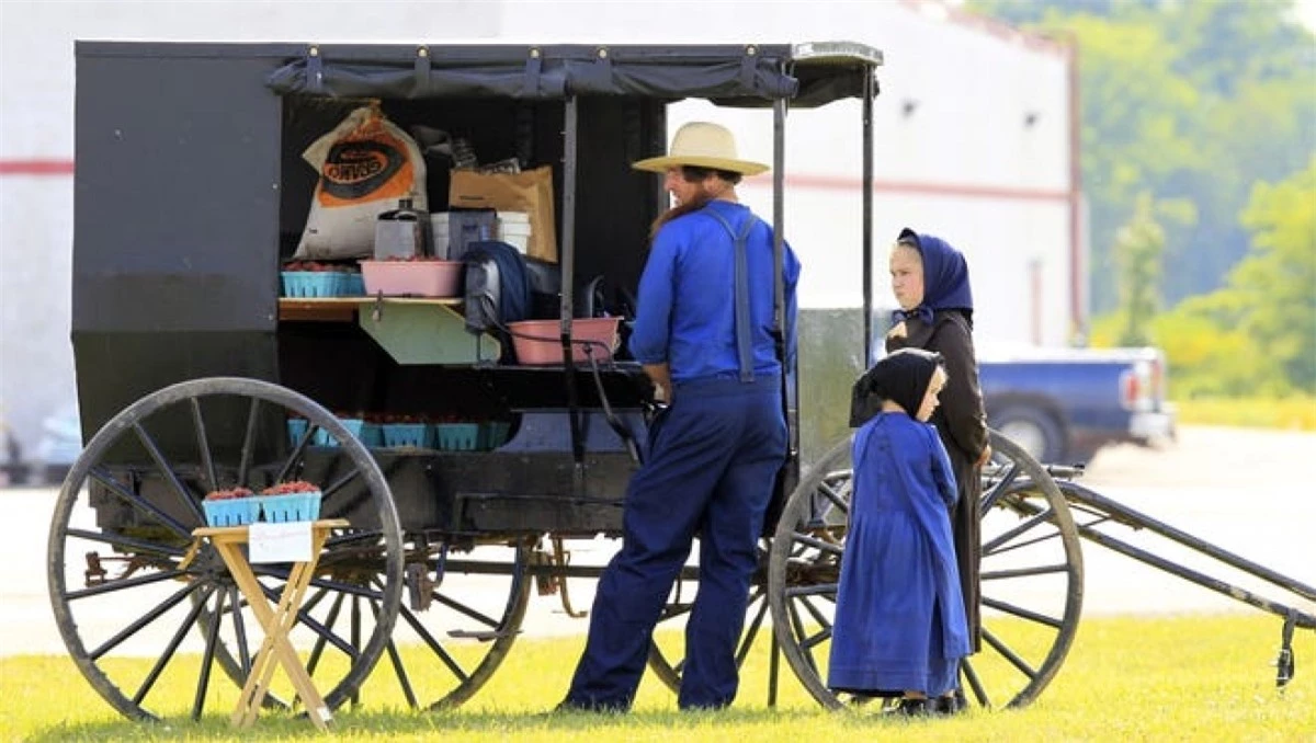 Người Amish tập trung nhiều nhất ở 3 bang tại Mỹ là Ohio (đông nhất), Pennsylvania và Indiana. Ảnh: AP