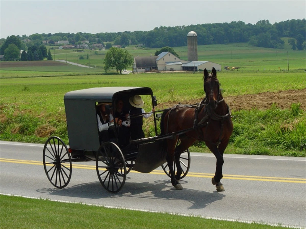 Người Amish chọn cách vận chuyển bằng ngựa để giữ cho cộng đồng ở địa phương có sự gắn kết hơn. Ảnh:Wikimedia