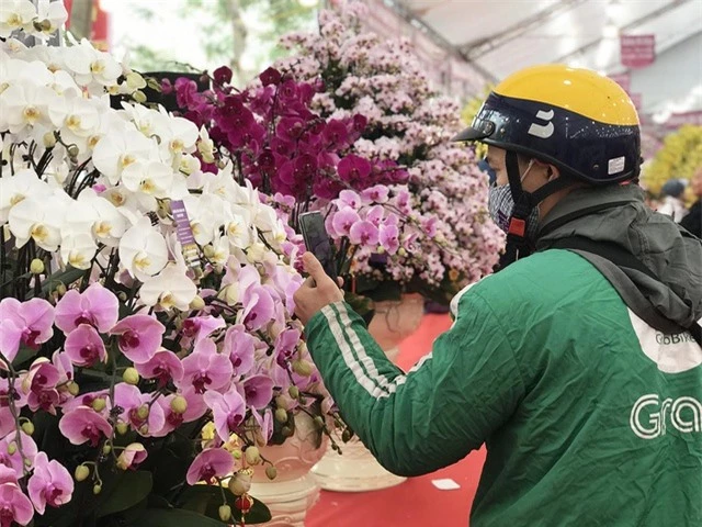 Bỏng tay với chậu lan Hồ điệp giá 165 triệu đồng cho đại gia chơi Tết - 8