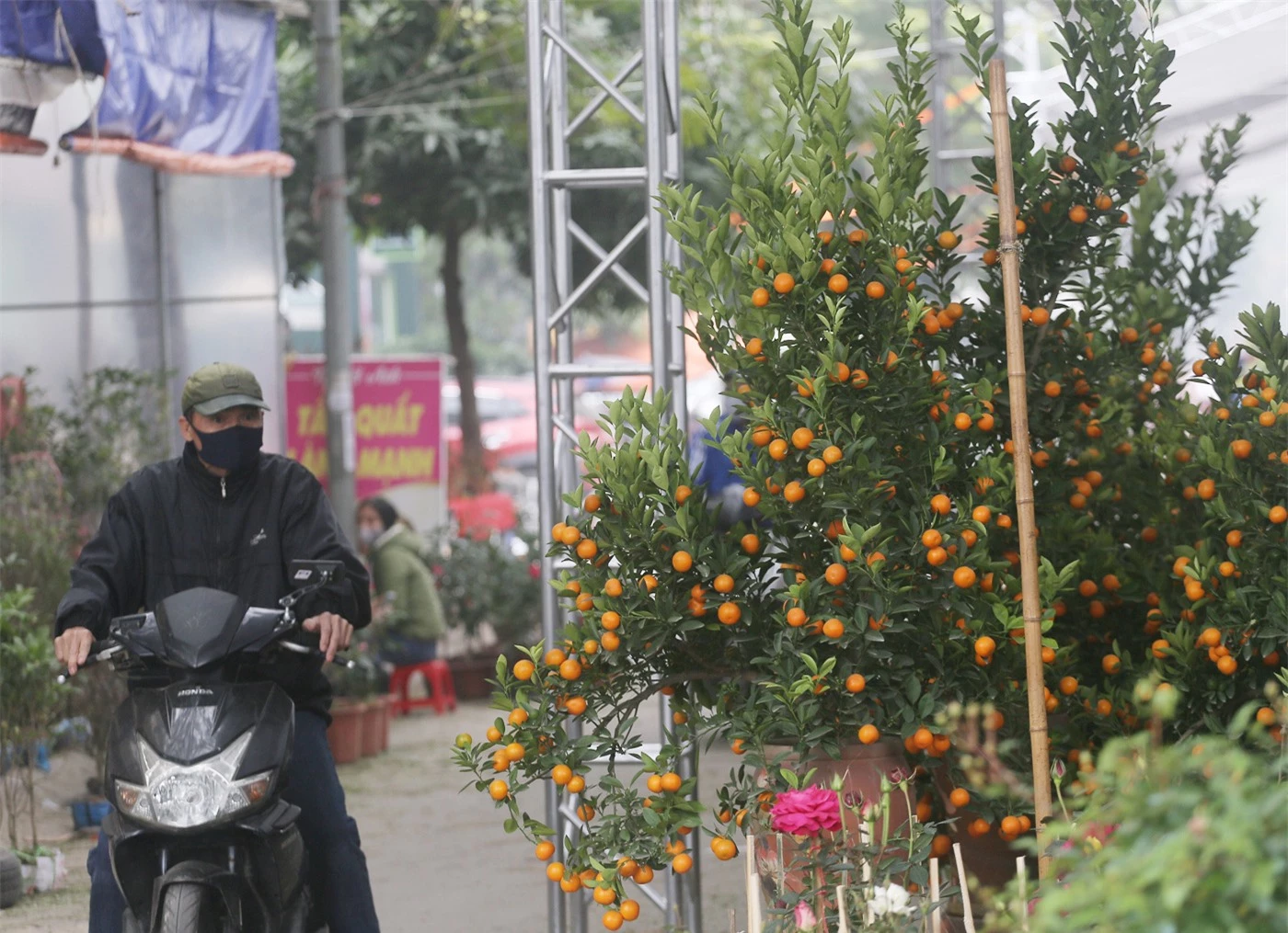 Hà Nội: Người dân nườm nượp mua sắm Tết sớm tại chợ hoa Vạn Phúc - Ảnh 2.