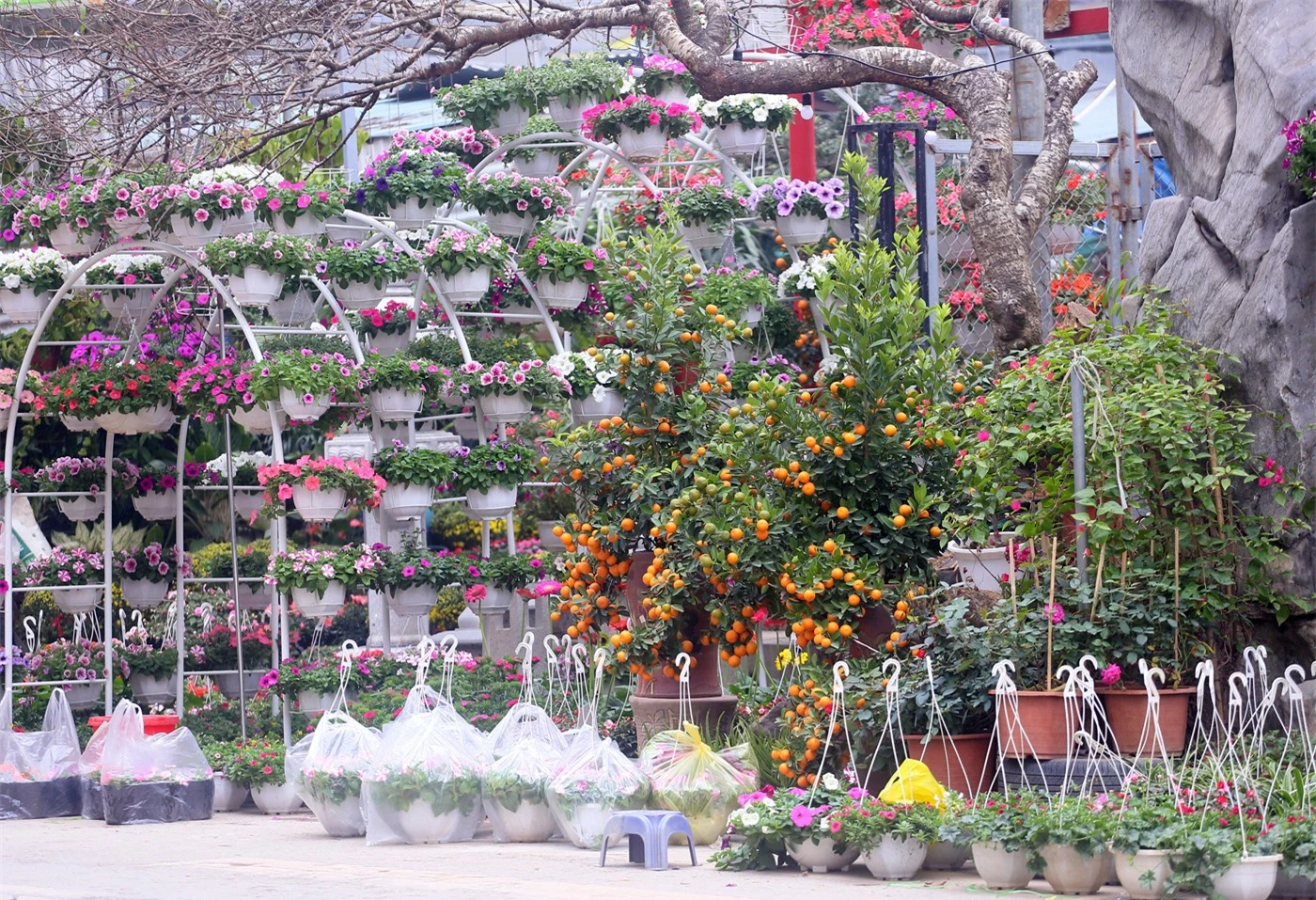 Hà Nội: Người dân nườm nượp mua sắm Tết sớm tại chợ hoa Vạn Phúc - Ảnh 12.