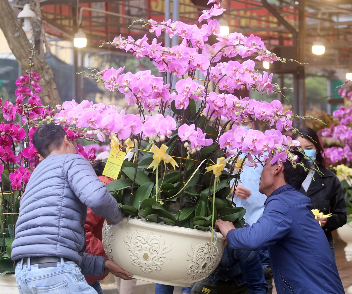 Hà Nội: Người dân nườm nượp mua sắm Tết sớm tại chợ hoa Vạn Phúc - Ảnh 10.
