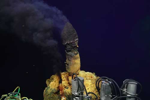 Phát hiện hàng trăm dạng sống chưa từng thấy sống trong ngọn núi lửa