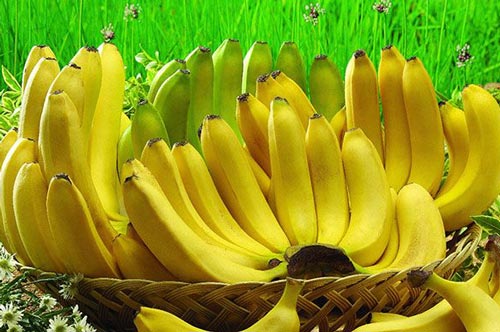 Chuối thẳng và cong khác nhau thế nào, người bán tiết lộ sự thật, bạn đừng có mua nhầm