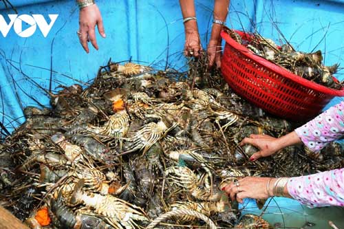 Nam Trung bộ đẩy mạnh phát triển kinh tế xanh