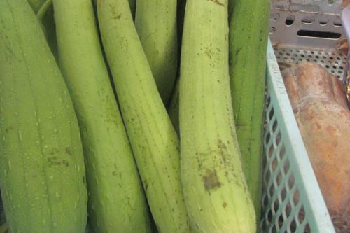 Da đẹp mịn màng bằng cách sử dụng mướp