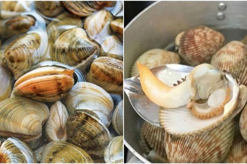 Học cách người Nhật "hô biến" rau củ héo trở nên tươi rói chỉ trong "tích tắc"