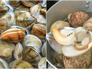 Học cách người Nhật "hô biến" rau củ héo trở nên tươi rói chỉ trong "tích tắc"