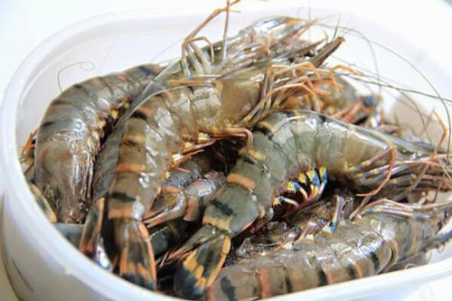 Làm thêm bước này, tôm để tủ lạnh cả tháng vẫn tươi ngon, chắc thịt