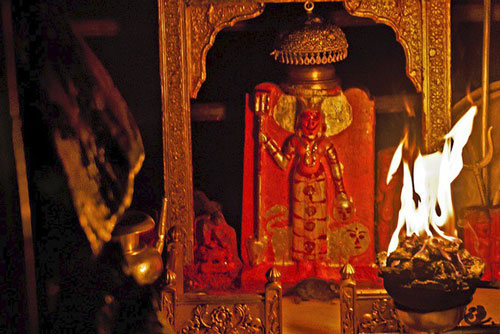 Kinh dị đền thờ ở Ấn Độ cho hơn 20.000 con chuột sống tự do