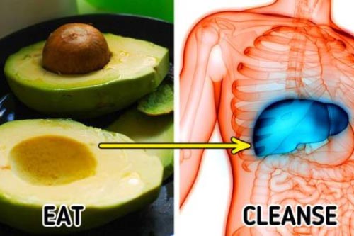 6 thực phẩm được ví là “bàn chải tự nhiên” làm sạch ruột, giúp thanh lọc cơ thể, giải độc gan thận hiệu quả