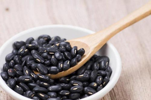 Bài thuốc chữa bệnh từ đậu đen có thể bạn chưa biết