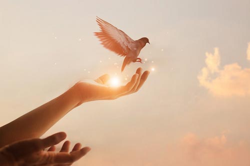 Năm tháng là một con dao hai lưỡi: Tử tế làm một việc, hạnh phúc sẽ gõ cửa