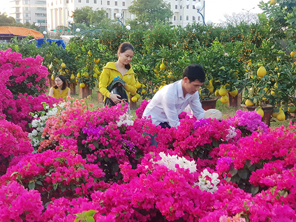 Đà Nẵng: Chợ hoa Tết Tân Sửu 2021 “lời ăn lỗ chịu”, không xin hỗ trợ của ngân sách