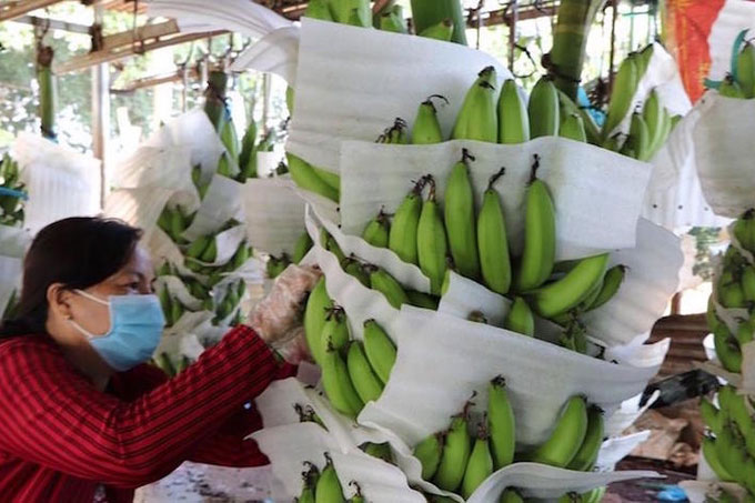 Trung Quốc không còn là thị trường dễ tính với nông sản Việt