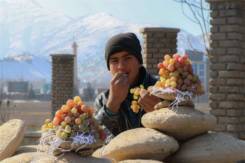 Kinh ngạc kỹ thuật bảo quản trái cây tươi có một không hai ở Afghanistan